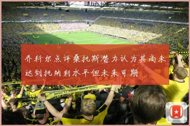 乔科尔点评桑托斯潜力认为其尚未达到托纳利水平但未来可期