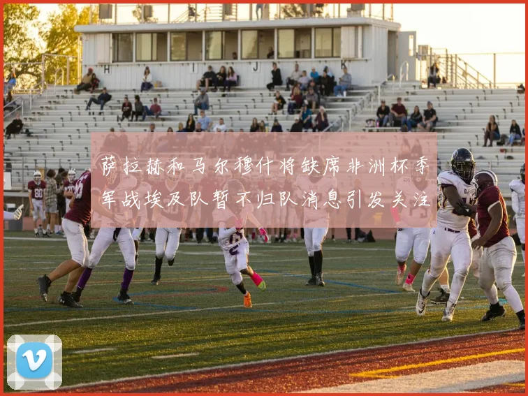 萨拉赫和马尔穆什将缺席非洲杯季军战埃及队暂不归队消息引发关注