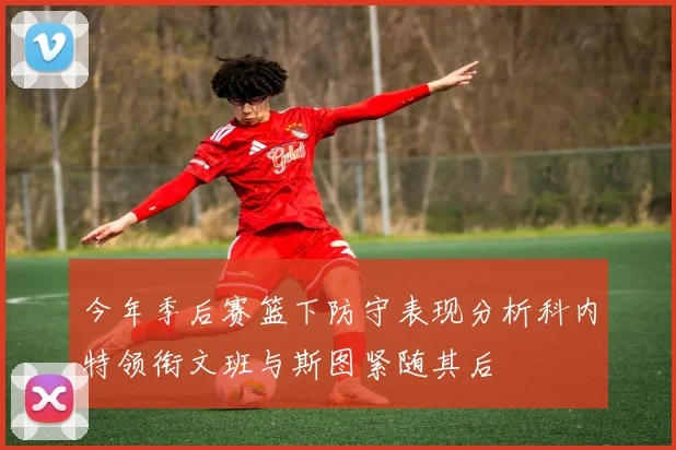 今年季后赛篮下防守表现分析科内特领衔文班与斯图紧随其后