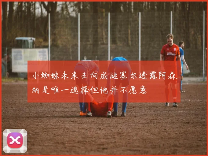 小蜘蛛未来去向成谜塞尔透露阿森纳是唯一选择但他并不愿意